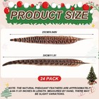 24 Pcs Long Pheasant Feathers 10-12  For Christmas Tree Decor - 25-30cm