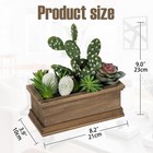 Fake Cactus Plant Small Succulents Plants Artificial Succulents In Wooden Pot   