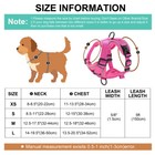 Padded Soft Puppy Pet Dog Cat Step In Harness And Leash Comfortable Vest S-xl 