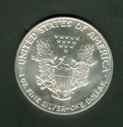 2013 Silver American Eagle Coin One Dollar 1 Troy Oz  999 Fine Bu White
