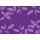 New Crafter s Companion 3d Embossing Folder - Decorative Holly