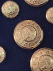 Akron Ohio Police Unused Gold Gilt Uniform Button Complete Set - Official - New