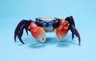 Bandai Diversity Of Life Crustaceans 01 Red Clawed Crab Figure Us Seller New