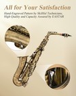 Eastar As-ii Alto Saxophone E Flat Vintage Bronze   Hard Case Mouthpiece Stand