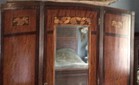 Antique Armoire  Mahogany Single Door-beveled Mirror  Wood Inlays  Bottom Drawer