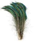 Peacock Swords Natural Feathers 10-35  Various Sizes In Length Halloween bridal