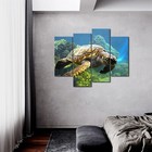 Turtle Swimming In Bottom Of Sea Wall Art Painting The Picture Print On Canva   