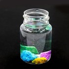 Diy Magic Crystal Garden Science Kit Sodium Silicate Growth Stones Decor