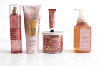 Champagne Toast 5-pc Gift Set     Bath   Body Works Mist  Cream  Candle Ships Fast