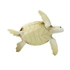Green Sea Turtle Animal Figurine Safari Toy Sea Life Collection
