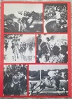 Just Crazy About Horses Press Kit Folder 1978 Tammy Grimes Saratoga Vintage