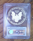2010-w Proof American Silver Eagle Pcgs Pr69dcam First Strike  167 