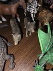 Mojo And Schleich Lot Of 1 Animals And Horses Figures Lot Loose - Collectibles  