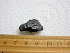 Meteorite Campo Del Cielo Strike Iron Nickle Argentina 2 Mm 4 7 Grams Jl83