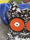 Hooters Owl Restaurant Bar Lighted Sign Large L  k 