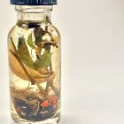 Cursing Oil  Santeria Revenge Dark Arts Hexes Voodoo Hoodoo Wiccan From Twichery