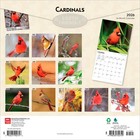 Cardinals   2026 12x24   hanging  Square Wall Calendar   Plastic-free