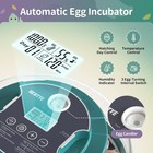 Digital Large Egg Incubator With Led Display   Adjustable Turner