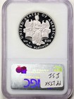 2006-w  100 1oz Proof Platinum American Eagle Pf69ucam Ngc 2206150-001