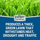 Expert Gardener Sun   Shade Southern Grass Seed Mix  For Sun To Partial Shade  3