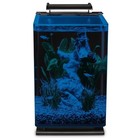 5-gallon Led Glass Aquarium Kit W  Hidden Filtration   Moonlight Lighting New
