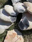 3 Pounds Of High Quality Georgetown Flint   Whole Rock   Flint Knapping