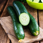 50  Tendergreen Burpless Cucumber Seeds -- English Cucumber -------- Fresh