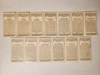 1 Lot Of 13x Vintage Vg-ex 1936 Player s Cigarettes Tennis Tobacco Sports Cards