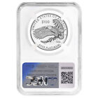 2024-w Proof  100 American Platinum Eagle Right To Assemble Ngc Pf70uc Fdi Fi   