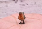 Stunning Antique Austrian Vienna Cold Painted Bronze Of Little Robin