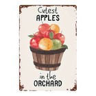 Retro Apple Basket Metal Wall Art Rustic Farmhouse Kitchen Home Cafe Decor Gift