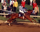 Secretariat 13 Photo Collection 8  X 10  s One Signed By Ron Turcotte