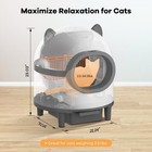 Cleaning Cat Litter Box  Large Automatic Box For Multiple Cats  App Control