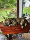 Vintage Solid Brass Sleeping Puppy Dog Shelf Sitter