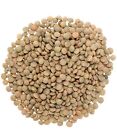 Certified Glyphosate Residue Free Palouse Brand Brown Lentils 5 Lbs