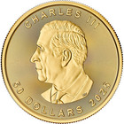 2025 Canada Gold Maple Leaf 1 Oz  50 - Bu