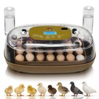 24 Digital Egg Incubator Hatcher W  Auto-turning  Temperature   Humidity Control