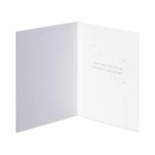 Papyrus Christmas Cards Petite Boxed 20 Floral Tree Merry And Bright Gold Seals