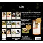 Lang Love Of Dogs 2025 Wall Calendar 