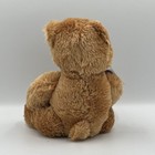 Russ Shining Stars Bear Tan 8  Plush Stuffed Animal 2006 Official Star Registry