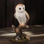 Barn Owl Standing On Branch Polystone Figurine Home Decorative Collectible