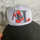 Hickory Crawdads Hat Cap Fitted Mens 7 3 8 Gray Minor League Baseball New Era