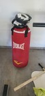 Everlast Punching Bag And 2 Boxing Gloves