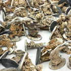 Sand Warriors - Metal Miniatures - Suitable For D d Pre Slotta Unbranded C7221