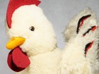 Stuffed Rooster 33 Cm In Good Used Condition