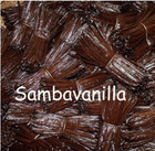 5  Bourbon Vanilla Beans-pods From New Harvest Of Madagascar 5-6 
