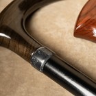 Hook Handle Support Walking Stick  Masonic Fancy Designer Cane  Mobility Aid
