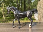 Rare Breyer Horse  703113 Onyx Glossy Black Fun Days Show Arabian 2010 