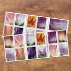 2023tulip Blossoms Forever Stamps  5 Sheets Of 20-total 100pcs Stamps Collect