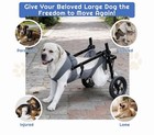 Sjpnvus Adjustable Wheelchair Xl   For Large Dogs Mobility Aid